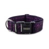 Obojek Staffordshire Bull Terrier Violet
