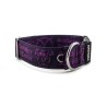 Obojek Staffordshire Bull Terrier Violet