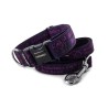 Obojek Staffordshire Bull Terrier Violet