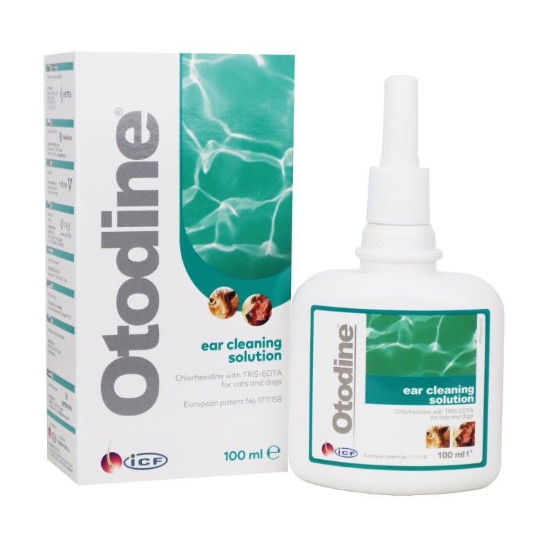 Otodine 100ml