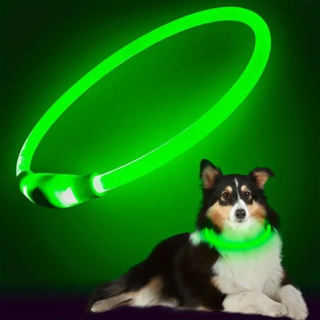led obojek pro psy